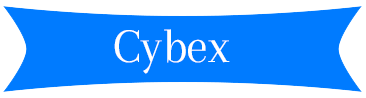 Import Export Data Provider